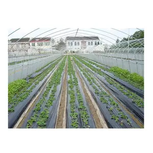 Black Plastic Mulch Film Agricultural Greenhouse Mulch Film Anti Weed Mat Cloth