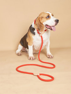Laisse pour chien en nylon rouge avec détails en cuir, style simple et mains libres, pour chiens - Product Image 6