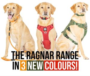 Arnés Táctico para Perro con Correa, Nuevo, Listo para Enviar, Nailon 420D, Acolchado de Malla Transpirable, Arnés K9 - Product Image 3