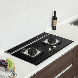 Conjunto de estufa de Gas con cubierta lateral integrada, sistema de elevación Stealth, protección ambiental, chimenea eléctrica SS - Product Image 6