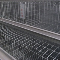 Système de conception à un prix abordable, niche pour animaux de volaille, ferme, couche d'œufs, Cage pour poules et bébés poussins