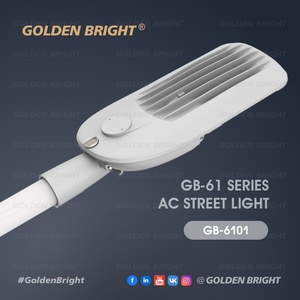 Lámpara LED de Calle de Alta Potencia AC, 60W, Diseño de Ala de Murciélago, Distribución de Luz Dorada Brillante - Product Image 5
