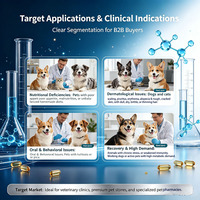 Complexe de vitamines B liquide oral pour chiens et chats, Thiamine Riboflavine B6 B12 Taurine, Soutien cutané, pelage et appétit OEM
