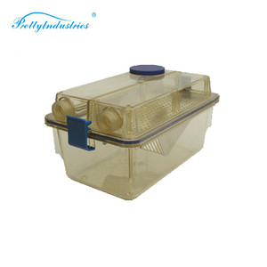 <span class=keywords><strong>Jaula</strong></span> IVC para Ratas de Laboratorio, 420*250*230mm, Modelo TC-25-S8 - Product Image 5