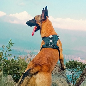 Harness Anjing Besar Anti Tarik Tahan Air dengan Pegangan Pelacak, Logo Kustom OEM, Pabrik Profesional, Mewah, dan Lampu - Product Image 4
