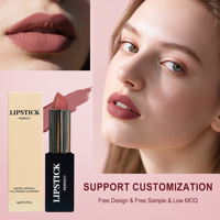 Kit de gloss à lèvres naturel végétalien bio en gros sous marque privée, huile à lèvres hydratante, crayon contour des lèvres, rouge à lèvres mat haute pigmentation