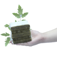 KAIHUA KH-GC Cubes de laine de roche écologiques résistants au feu pour la culture hydroponique de tomates dans les serres agricoles