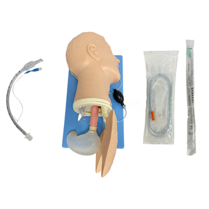 Maniquí SY-N3701 para Manejo de Vías Respiratorias en RCP, para Entrenamiento de Respiración de Rescate, Incluye Bolsa, Válvula y Mascarilla, Producto de Ciencias Médicas - Product Image 4