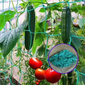 Malla de Enredadera para Jardín, Soporte Vertical para Plantas Trepadoras, Ahorro de Espacio, para Huertos Domésticos y Pequeños Jardines - Product Image 2