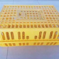 Cage de transport pour volailles, boîte de transport pour poulets de chair et poussins, en treillis métallique noir, maille à haute efficacité, application en tissage plat