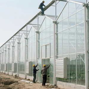 Grande serre agricole multi-travées en verre trempé avec structure en acier galvanisé à chaud, fenêtres de toit et conception ventilée - Product Image 6