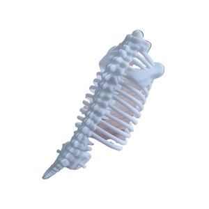 3D Printed <b>ABS</b> Skeleton Model Custom Made For Exhibition Display Structural Parts - Product Image 1