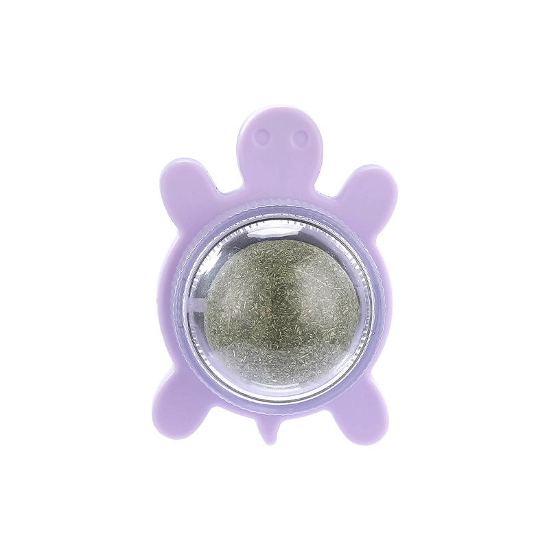 Viola