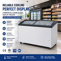 Congelador de Helados con Vidrio Curvo X-MING, Equipo de Refrigeración Comercial OEM