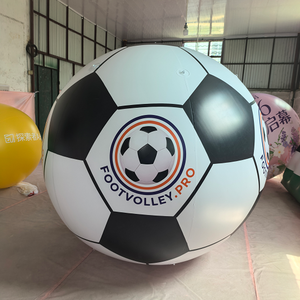Ballons gonflables géants en PVC hermétique de 2,5 m avec logo personnalisé pour la <span class=keywords><strong>Coupe</strong></span> <span class=keywords><strong>du</strong></span> <span class=keywords><strong>Monde</strong></span> : modèles de football, basketball et <span class=keywords><strong>volleyball</strong></span> - Product Image 3