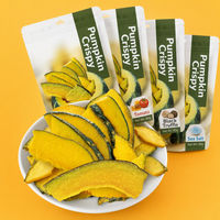 Fabrieksdirect Zeezout Pompoen Chips VF Gedroogde Knapperige Snack 80g Groothandel OEM Leverancier Export Klaar Direct