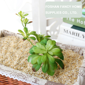 Plantes grimpantes artificielles en plastique <span class=keywords><strong>Lithops</strong></span>, succulentes écologiques, fournitures créatives DIY, accessoires muraux végétaux, fleurs - Product Image 5
