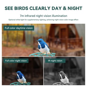 Abreuvoir automatique pour oiseaux de compagnie Bouteille d'eau Tasse en plastique Abreuvoir pour oiseaux avec caméra - Product Image 4