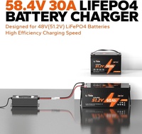 Chargeur de batterie 2000W pour batteries Lifepo4, Lithium, Lipo, Li-ion, Plomb-acide (SLA) 20A-60A 12V 24V 36V 48V 60V 72V