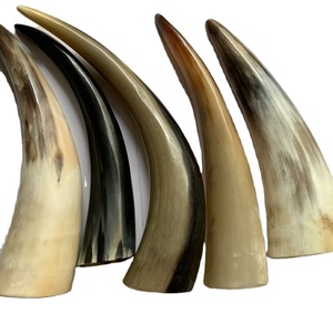 Kuning tanduk sapi putih tanduk yak stasiun silinder scraping silinder tanduk sapi bekam - Product Image 1