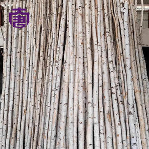 ไฟต้นเบิร์ชเรืองแสง IP65 H1/2/3/4 เมตร สำหรับตกแต่งภูมิทัศน์ภายนอกอาคาร ประดับตกแต่งวันปีใหม่ วันคริสต์มาส และเทศกาลต่างๆ - Product Image 6