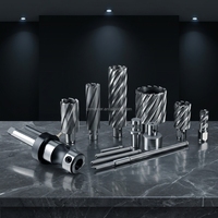 Perceuse magnétique électrique industrielle TLJ 75 mm robuste pour le perçage de tôles d'acier, qualité industrielle, OEM CE