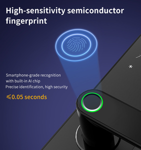 Bluelock TTLock Smart Door Lock Fingerprint Smart Lock Tuya WiFi App Control Keyless <strong>Entry</strong> Lock Hotel System - Product Image 6