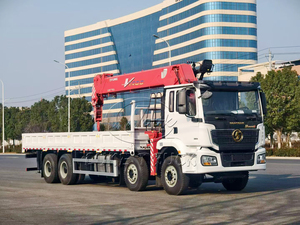 Grúa Montada en Camión Shacman 8x4 para Transporte de Materiales de Construcción, Grúa Montada en Vehículo de 14T - Product Image 4