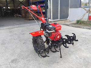 <span class=keywords><strong>Vente</strong></span> Chaude Populaire, <span class=keywords><strong>Motoculteur</strong></span> Micro à Essence de Qualité Supérieure 7-15 CV, Tracteur Deux Roues à Main, Prix EXW - Product Image 5