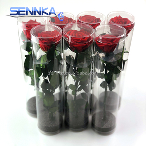 Vente en gros d'arrangements de fleurs séchées roses conservées <span class=keywords><strong>Bouquet</strong></span> de fleurs avec longue tige - Product Image 1