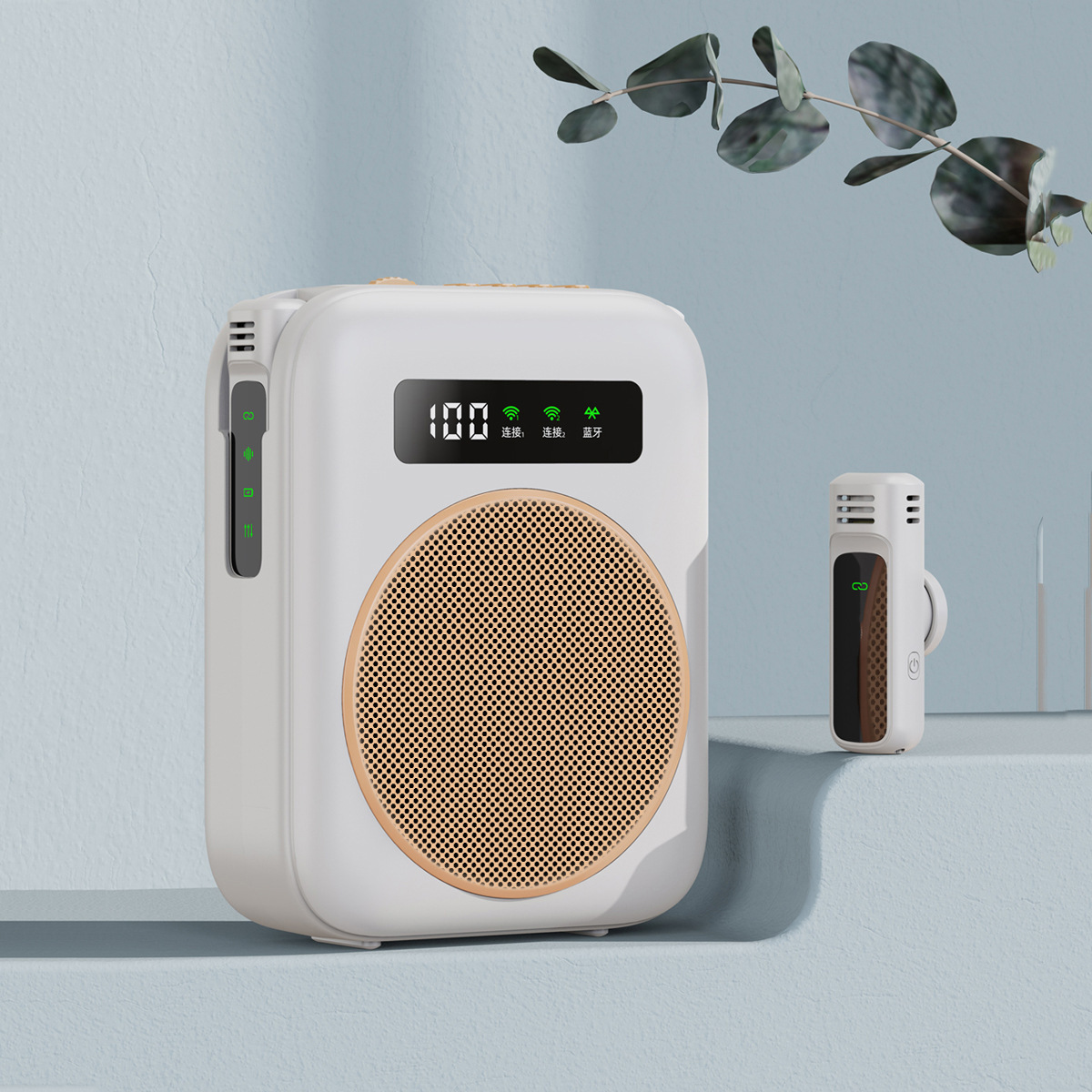 Portable <strong>Speaker</strong> With Wireless Microphone 5W <strong>Bluetooth</strong> Rechargeable Battery TF Card Support For Teachers Tour <strong>Guides</strong>