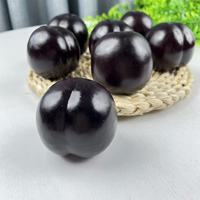 Zwarte Bryn Plum Kunstmatig Eco-vriendelijk Schuim Fruitmodel voor Thanksgiving, Terug naar School, Keuken, Huisdecoratie, Fotografie Props