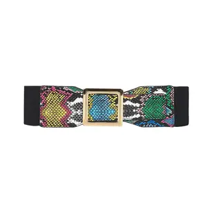 Square Buckle Colorful Luxury Belt Woman Snake Pattern Decorative Elastic Custom Luxury Belt Stretchable Wide Luxury Belt Woman