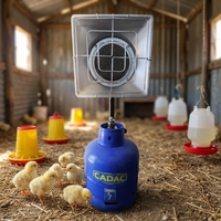 Chauffe-poussins infrarouge à gaz pour volailles avec construction en aluminium 0,5 kW, chauffage rapide, consommation de gaz réduite de 0,5 kW