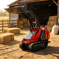 SDLOT Kompakter Mini-Radlader mit Kubota Dieselmotor CE EURO5 Hydraulischer Schneegreifer für Winter-Gartenarbeiten