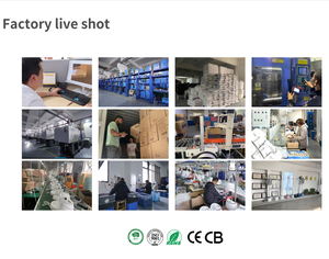 Défroisseur Vapeur Portable Pliant Rose 100ml 2026 – Idéal Voyage, Double Tension, Brosse Anti-Plis – Nouvelle Vente Chaude - Product Image 6