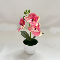 Bunga dan Tanaman Artifisial Phalaenopsis Tanaman Hijau Artifisial Bonsai dan Dekorasi Rumah Pot