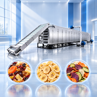 Industriële voedseldroger continue voedseldroogmachine hoge capaciteit voor gedroogd fruit, groente, champignons en snackproductielijn