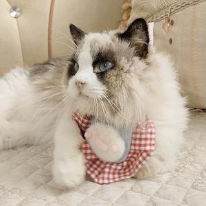 [Série Style Denim] Bavoirs pour animaux de compagnie en polyester style <span class=keywords><strong>cowboy</strong></span>, bavoirs semi-circulaires pour chiens et chats, toutes saisons - Product Image 4