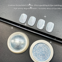 Poudre à ongles effet œil de chat 9D Platinum haute intensité, pigment pour nail art à effet éclaté, poudre chromée magnétique haute brillance pour salons de manucure