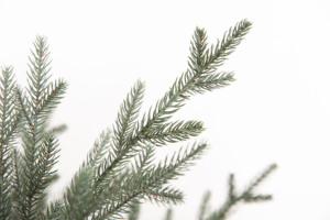 Nuevo diseño Artificial Pe 1,5 m Árbol de Navidad negro - Product Image 2