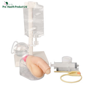 Simulator Kateterisasi Pria - Product Image 2