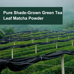 AMULYN 100% Bubuk Teh Hijau Matcha Organik Murni OEM Label Pribadi Bubuk Matcha Hijau Organik untuk Upacara dalam Kaleng - Product Image 3