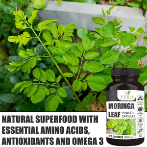 Cápsulas de Moringa OEM ODM, Cápsulas de Polvo de Hoja de Moringa, Desintoxicación Corporal, Refuerzo del Sistema Inmunitario, Aumenta la Inmunidad - Product Image 6
