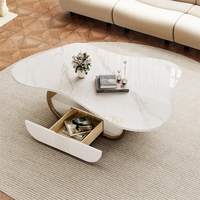 Table basse de salon en pierre frittée, acier inoxydable, style moderne et luxueux, avec rangement, pour la maison