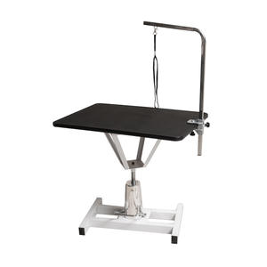 Table de toilettage pour chiens et <span class=keywords><strong>animaux</strong></span> de compagnie, avec levage électrique, Double colonne, populaire, nouveau, 2020 - Product Image 2