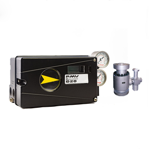 4-20 MA PMV D20 Industrial Digital con Shanghai Dianjian - Product Image 2