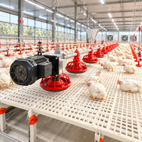 Système d'alimentation automatique pour volailles en gros, ensemble mangeoire et abreuvoir pour poulets de chair, équipement d'élevage au sol