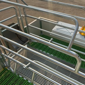 Attrezzature di Alta Qualità per Allevamento Suini, Gabbie per Parto e Maternità, Recinti per Suini - Product Image 3
