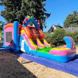 Llama double lane wet or dry combo <b>inflatable</b> bounce <b>house</b> and water slide bouncy castles for sale - Product Image 5